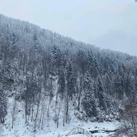 ホテル Писанка Плюс ヤレムチャ エクステリア 写真