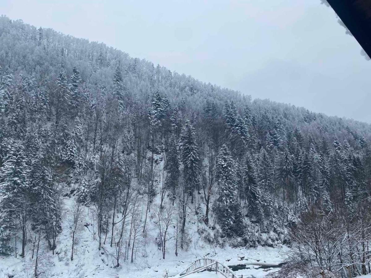 ホテル Писанка Плюс ヤレムチャ エクステリア 写真